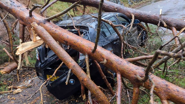 Wie durch ein Wunder entkam der Vater, nachdem drei Bäume seinen BMW während eines Sturms in Großbritannien zerquetscht hatten