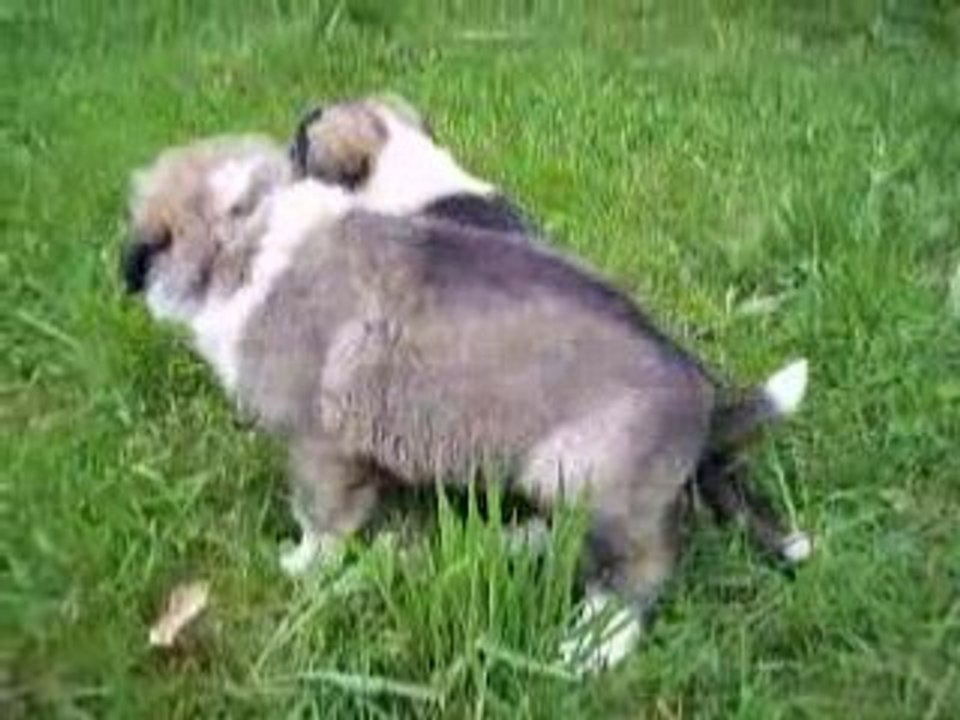 27.04.08 008video