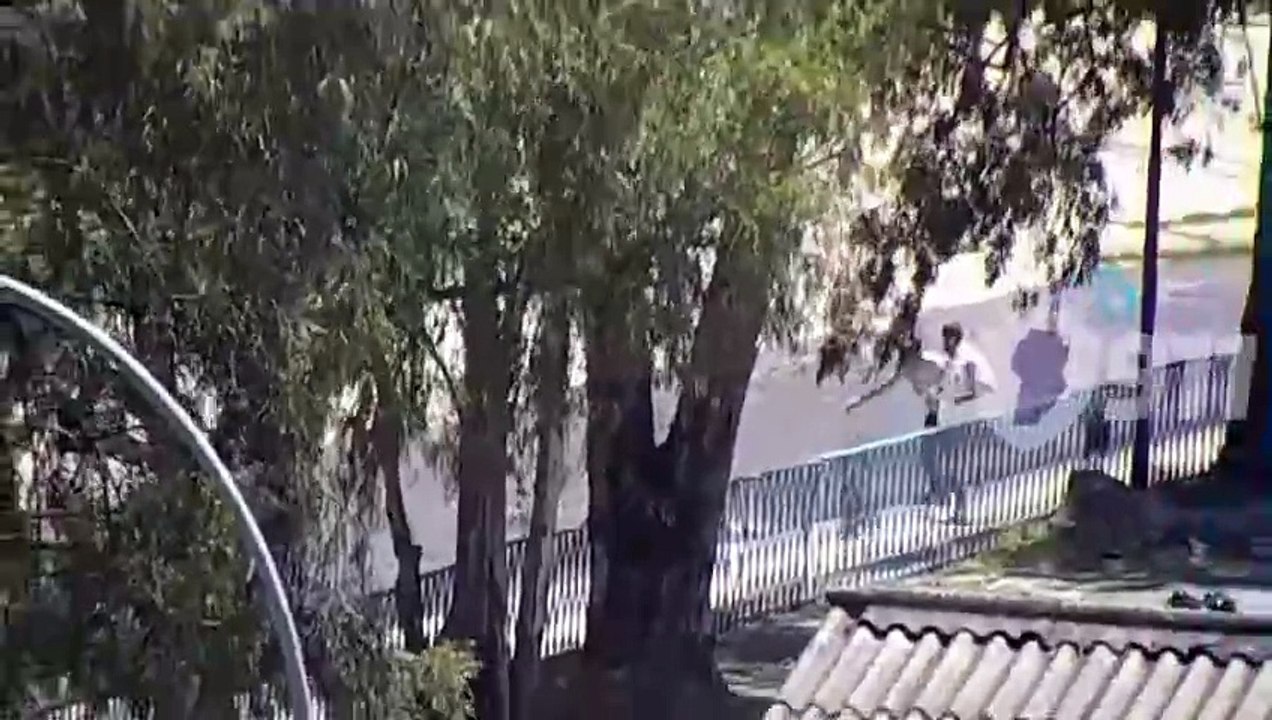 2-8-API-OC964Z1734731661_720P