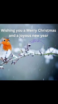 Christmas wishes . #christmas #christmas2024 #christmaswishes #happy #love