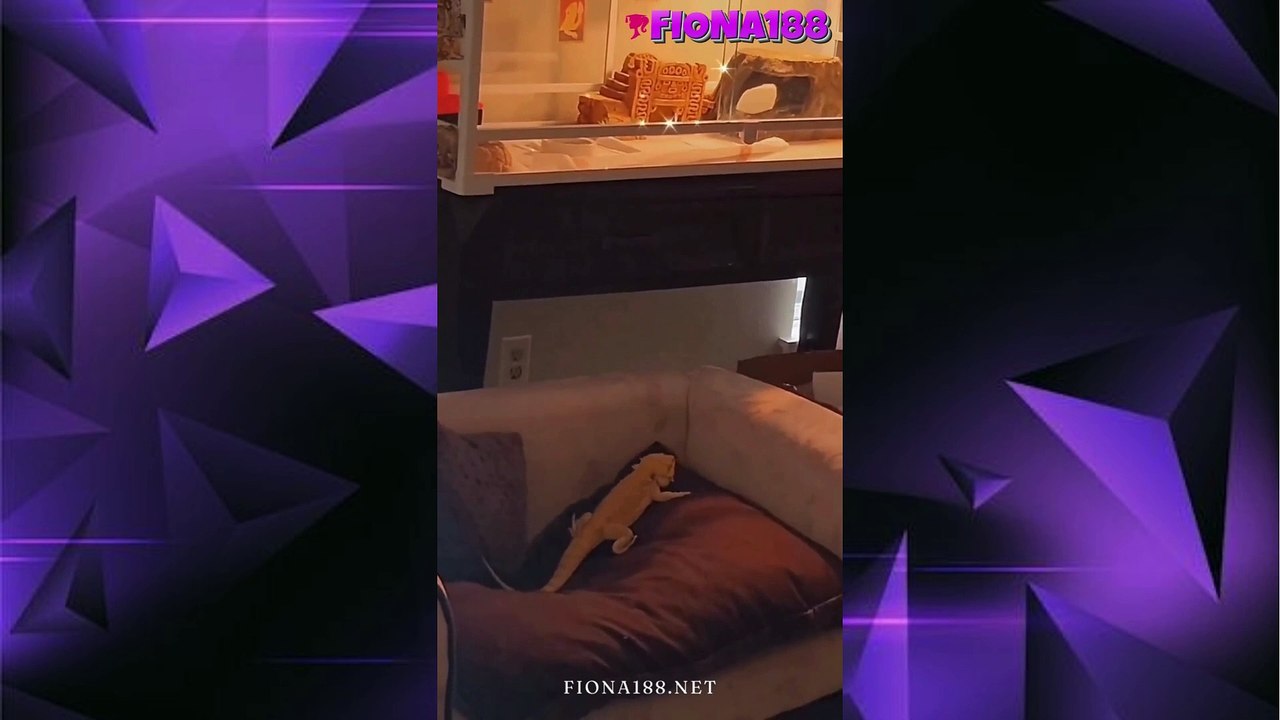 Fiona188 | omagaaaa 😂😂