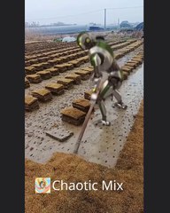 the workings of advanced robots