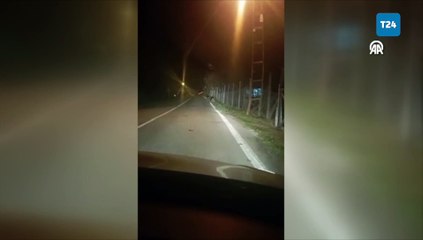 Kastamonu'da yolda koşan 2 ayı görüntülendi