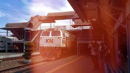 Si Biru Terlihat Elegan