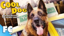 Cool Dog - Full Family Adventure Comedy Movie - Family Central