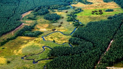 0:05 / 21:26   The Untold Stories of Hiroshima and Nagasaki | Documentary in Hindi