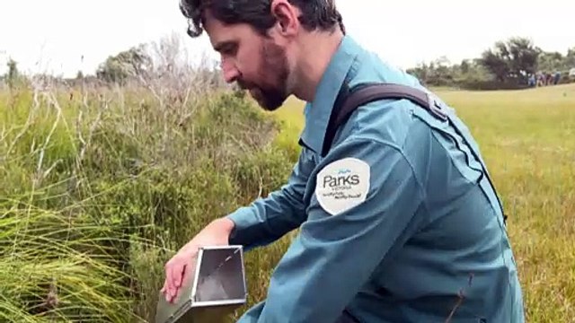 Wilsons Promontory a unique national park helping endangered species survive