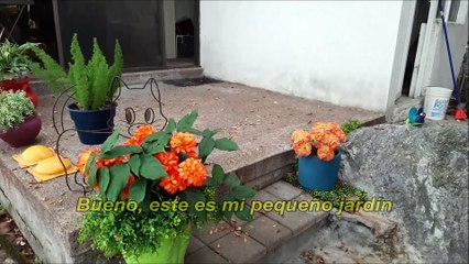 Mi pequeño jardín-01 - Mi pequeño jardín - Versión en español
