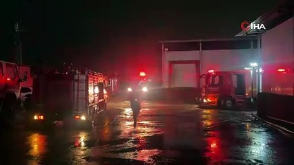 Adana'da tavuk çiftliği yandı