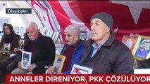 Evlat nöbetinde bir zafer daha! yeni zafer! Bir PKK’lı daha teslim oldu annesine kavuştu