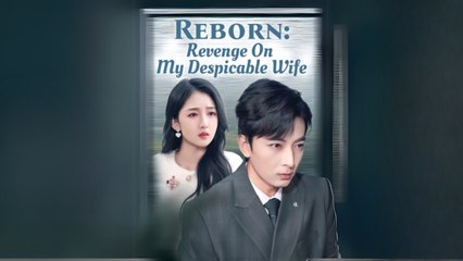 Reborn Revenge On My Despicable Wife Chinese Engsu