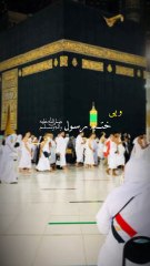 lv_7408272281849417015_20241110141756