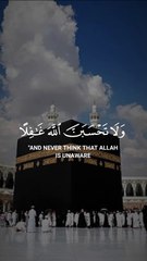 lv_7361454604753620241_20241111205346