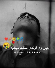 lv_7357747623706594580_20240912103615