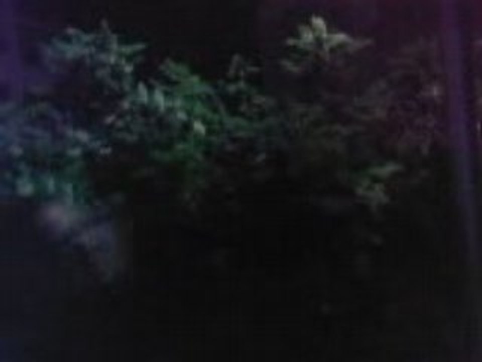Boris VS lampadaire