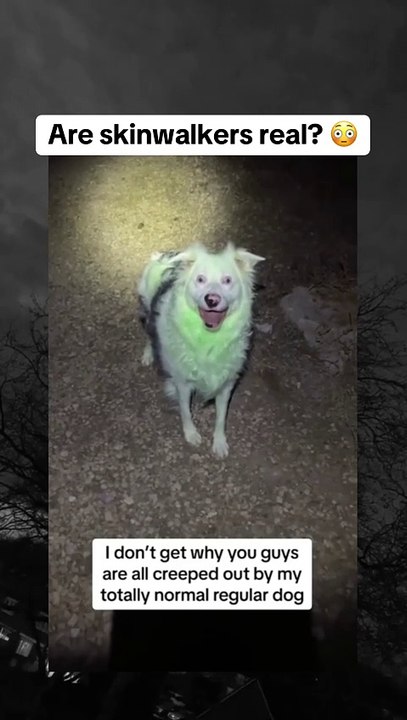 Terrifying Ghost Stories from Haunted Locations! #Scary #Mystery