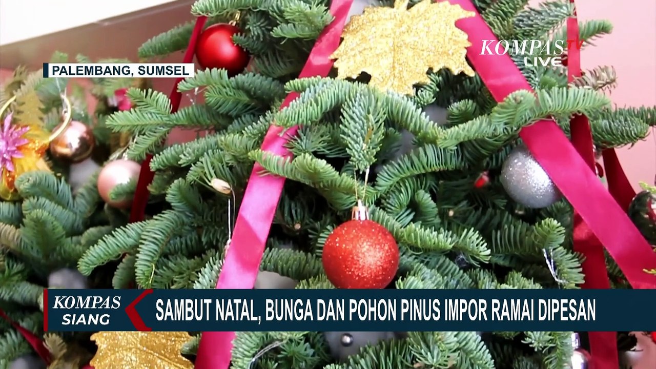Rangkaian Bunga Segar dan Pohon Pinus Impor untuk Natal Laris Diburu Warga | SERIAL NATARU