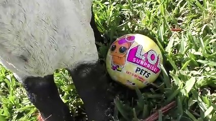 Diana takes a walk with her Doll and finds LOL Surprises