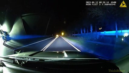 Florida deputies help lost cow wandering around neighborhood late at night (video)