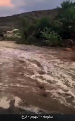 بيشة جنوب السعودية