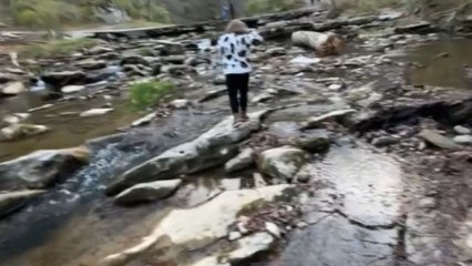 Man hops across creek rocks but slips and falls into the water with a splash