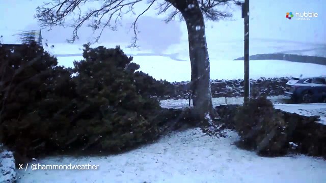 Snow falls in North Yorkshire leaving roads and gardens covered