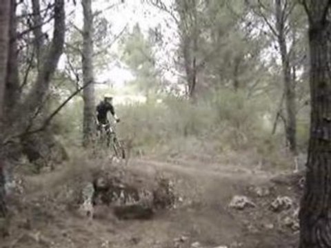 Figuerolles 26 avril 010