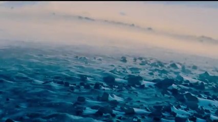 Superman ( 2025 ) - James Gunn's | Only in Theaters 2025