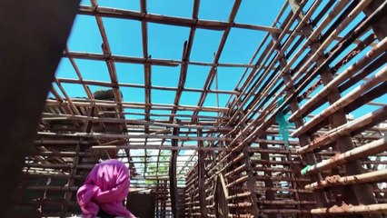 'I thought I was going to die,' Mozambique Chido survivor says