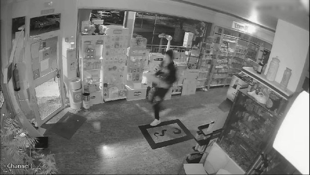 Detenidos los siete miembros de una banda de ladrones que asaltaron comercios de Seseña, Esquivias y Añover de Tajo.