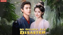 My Divorce, Ex's Disaster (Chinese Drama English Subtitles ) SnackShot