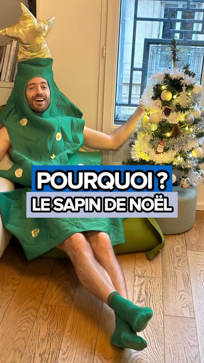 Team sapin naturel ou artificiel ? Une pensée émue pour tous ces sapins qui finiront sur le trottoir dans quelques jours 🥲