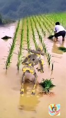 The Super Robot_ Witness Its Incredible Speed in Action! - تم تصميمه باستخدام Clipchamp