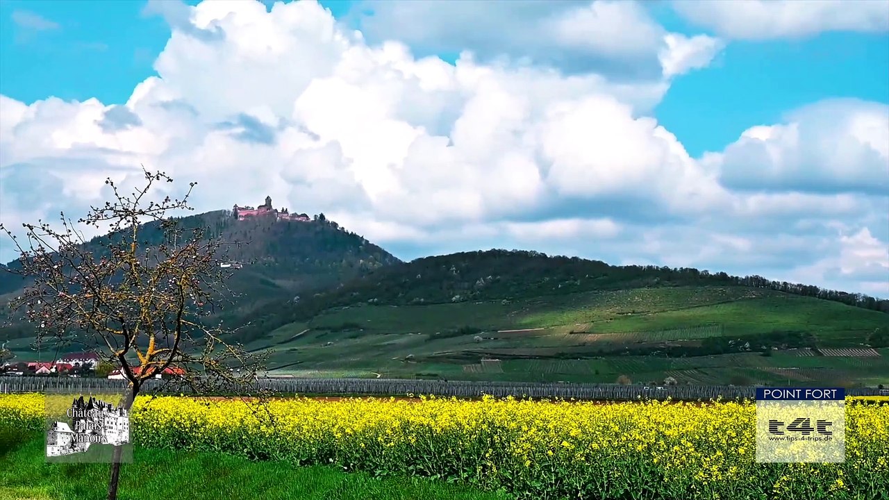 Tips-4-Trips - #Tuyau34 -- Château du Haut-Koenigsbourg