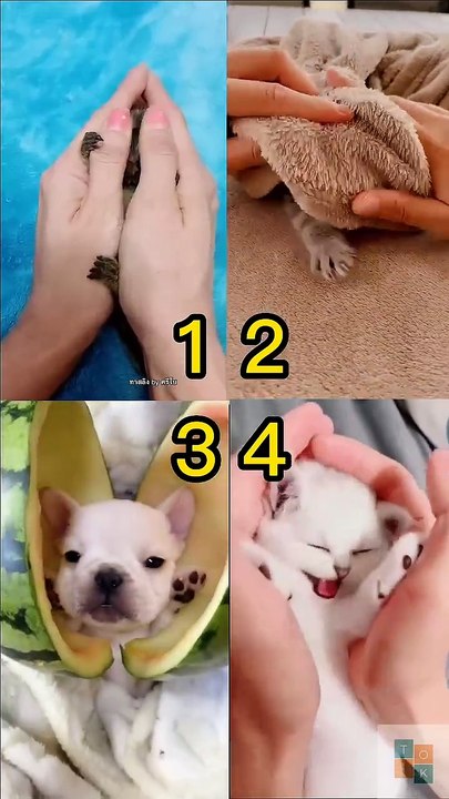 Pick Your Best_ 😍 Tiktok Compilation 💘