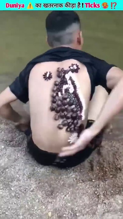 Why do these insects stick_ 😱