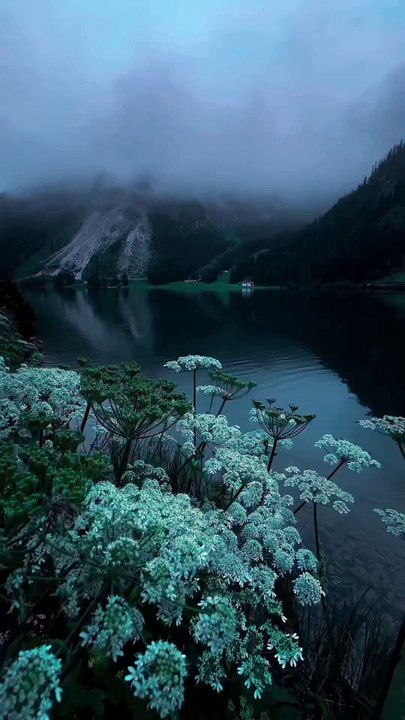Amazing and Beautiful nature