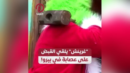 "غرينش" يلقي القبض على عصابة في بيرو!