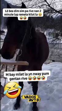 Video de humor, risas y diversión