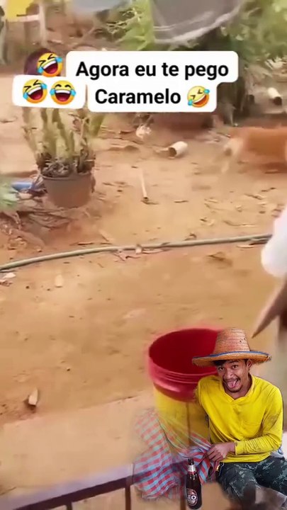 Video de humor, risas y diversión