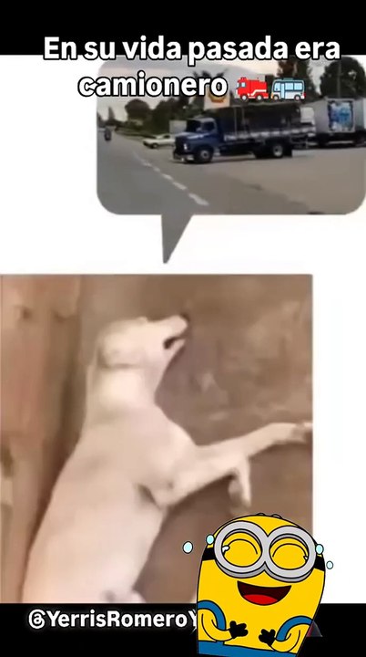 Video de humor, risas y diversión