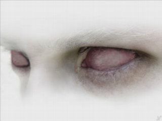 Jaques BouBou Schranz