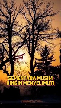 Bayi Perempuan Meninggal Kedinginan di Gaza #beritaterkini #icc #tangkapnetanyahu #trump #prabowo