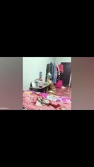 Cat's Simple Action Goes Viral!