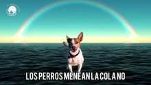 🐾 Cada Cola que se Menea Pinta un Arcoíris de Felicidad 🐶🌈