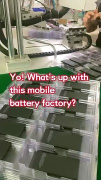 Yo! What's up with this mobile battery factory? I've heard that they've been in this business for 11 years. They can manufacture 95% of the mobile phone batteries in the whole world. Their batteries are of really high quality and are quite affordable in p
