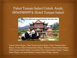 Paket Taman Safari Untuk Anak, 085659490974, Hotel Taman Safari