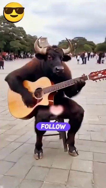 ,,,,,Checked Animals music,,,,,