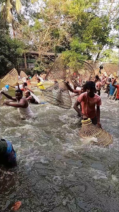 ,,,,,,Men Catching fishes,,,,,,