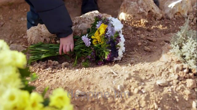 Daleki grad - 6. epizoda / Za mene ćeš zauvek ostati Boranova žea.